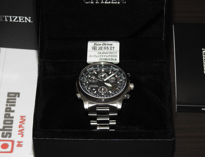 citizen promaster sky pilot